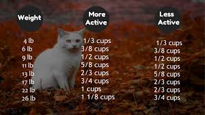 However, you should be able to start by adhering to this cat feeding chart provided by the. Pin On The Blog Updates