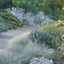 Garden Design Ideas Garden Design Ideas Layout Garden Design Ideas Landscapin Succulent Landscape Design Drought Tolerant Landscape Drought Tolerant Garden