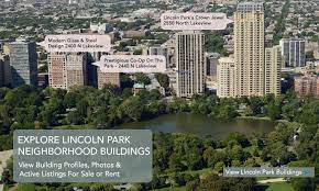 Ecconox 72334 Rome Gold Area Rug Y7958 Lamps Plus Rugs Gold Rug Hand Tufted Rugs