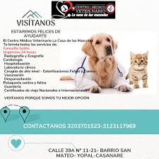 Centro Médico Veterinario La Casa De Las Mascotas