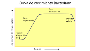 Muchos organismos viven dentro y fuera de nuestros cuerpos. Las Enfermedades