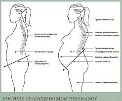 Pin On Signs Of Pregnancy
