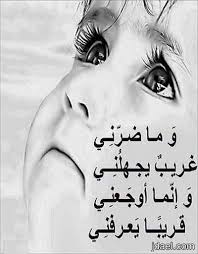 pin on اسد الدين شريكو