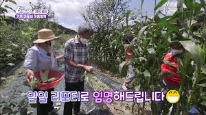올림픽에는 1964년 도쿄 올림픽 이후 11번 참가하였고 1976 몬트리올 올림픽에서 딴 동메달이 역대 최고 성적이다. Kbyhmknfnpzftm