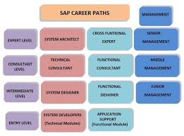 Sap Career Paths Senatesys Sapmodules Senate Systems Pvt Ltd Sspl Software Solutions Sap Solutions Erp Solutions It Implementation Sap Career Path Voip