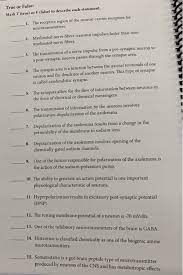 Solved The Nervous System The Nervous System Practice Quiz Chegg Com