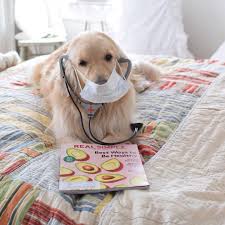 Nursing Jobs Near Me 2020 Golden Retriever Dogs National Nurses Week