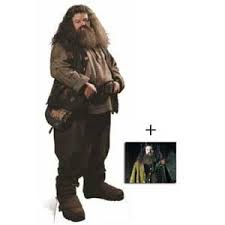 Rubeus Hagrid Costume For The Love Of Harry Harry Potter Fotograf
