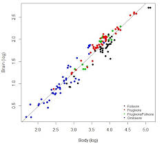 investigating the evolutionary drivers of primate brain size