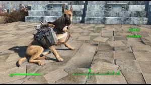 Fallout 4 Can Dogmeat Wear Armor Peatix Sometimes attack dogs will have armor on them, which can be looted from the dog's corpse. fallout 4 can dogmeat wear armor peatix