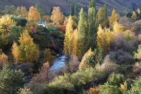 Разнообразна и богата природа киргизии. Priroda Kyrgyzstana