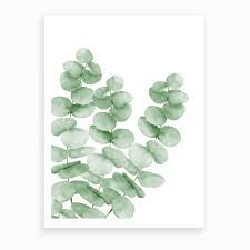 Watercolor Eucalyptus Leaves Art Print Watercolor Paintings For Beginners Leaf Art Watercolor Art Diy