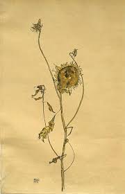 Galerie St Etienne Egon Schiele Landscape Egon Schiele Drawings Egon Schiele