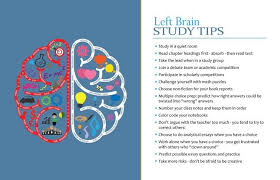 Pin On Brain Resource