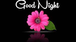 Find The Best Good Night Message To My Love Photos And Images Share Good Night Pics Good Night Wallpaper Beautiful Good Night Images Romantic Good Night Image