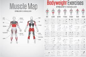 Bodyweight Exercises Chart And Travel Workout Cards 64tk Tv