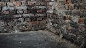 Maybe you would like to learn more about one of these? Damp Proofing A Garage How To Treat Damp Walls And Then Plaster Them Diy Doctor