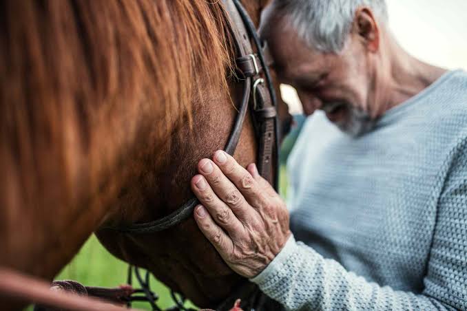 Resources - Healing Souls Equine Therapy
