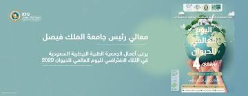الأخبار الرئيسية