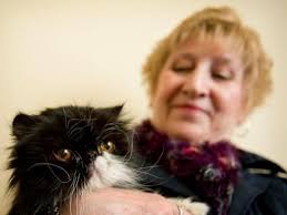 Is pet health insurance a boondoggle, or essential? What experts say