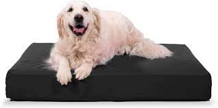 Some of the most popular include elevated chew proof beds with rigid. Amazon Com K9 Ballistics Tough Orthopedic Dog Bed Large Nearly Indestructible Chew Proof Washable Ortho Pillow For Chewing Puppy For Large Dogs 40 X34 Black Pet Beds Kitchen Dining