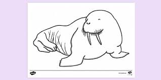 Walrus coloring pages are a fun way for kids of all ages to develop creativity, focus, motor skills and color recognition. Free Walrus Colouring Page Colouring Sheets
