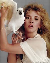 Stevie Nicks Welsh Witch