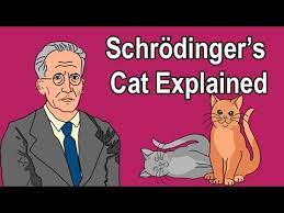 Schrodinger S Cat Explained Youtube Schrodinger S Cat Schrodingers Cat Schrodingers Cat Explained