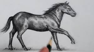 We will be drawing a variety of pictures related to horse. How To Draw A Horse Step By Step Youtube