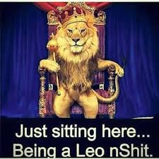 Birthday Coming Up Meme Leo Pin By Melanie R Clark On Leo Leo Birthday Month Happy Birthday Leo Leo Girl