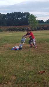 Lawn pest control site navigationskip to content. Should I Mow After A Lawn Treatment Southern Lawn And Pest Inc