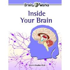 We did not find results for: Neuroscience For Kids Neuroscience Book Reviews