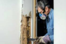 No pest problem is too big or too small. Best Termite Control In Orange County Ca Free Termite Inspection Non Toxic Treatment With 2 Yr Warranty