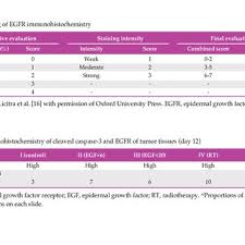 Have something nice to say about icitra? Immunohistochemistry Of Anti Epidermal Growth Factor Receptor Egfr Download Scientific Diagram