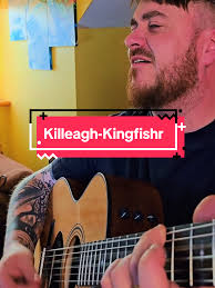 Explore the Best of Irish Music with Kingfishr