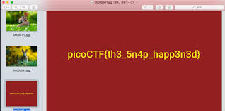 Picoctf 2018 Write Up Forensics S4tt01237 S Diary