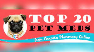 Jul 14, 2021 · canadapharmacy.com dispenses medications through our affiliated canadian dispensing pharmacy which is licensed in the province of manitoba, canada. Canadian Pet Pharmacy Online Off 58 Www Usushimd Com