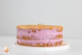 Teich pool reiniger filter boden sauger saugschlauch reinigung set kescher. Zweistockige Torte Dekoriert Mit Beeren Vanilletanz