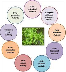 Image result for Enydra fluctuans