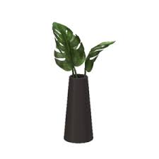 Leaves In Vase Tropical Leaves Cactus Plants Vase