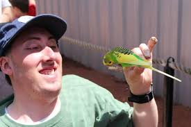 Contributions to the tribute of Paul Arthur Appel