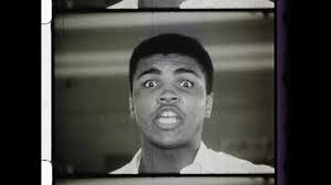 7,924 Ali Stock Video Footage