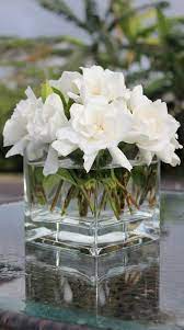 Pepper Weinglass S Photo On Google Flower Arrangements Beautiful Flower Arrangements Beautiful Flowers