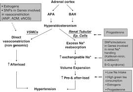 Image result for Hyperaldosteronism
