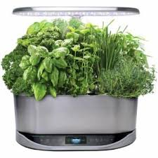 Did you mean hydroponic gardening system. The Best Hydroponic Systems For Gardening In 2021 Bob Vila