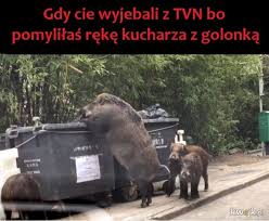 Trzeba mieć dystans do siebie jestem pewna, że i pani dorota się z tego śmieje. Dorotawellman Najlepsze Memy Zdjecia Gify I Obrazki Kwejk Pl