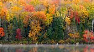 It's the time when nature explodes with color, and misty mornings. Landscape Photography Autumn Online Class Linkedin Learning Formerly Lynda Com