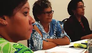 Strengthening and Localising Women's Leadership and Disability Inclusion in  Humanitarian Action