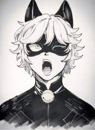 Chat Noir Miraculous Ladybug Fan Art Miraclous Ladybug Miraculous Ladybug