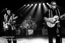 Summer Concert Series - Tailfins